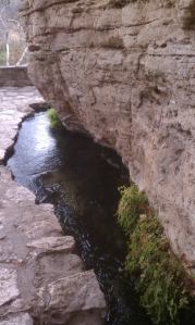 528383_3647147176486_1222355015_n