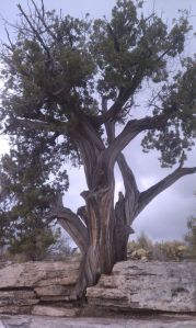 529430_3647143296389_618834839_n