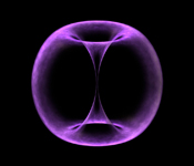 Torus_alone_175x150