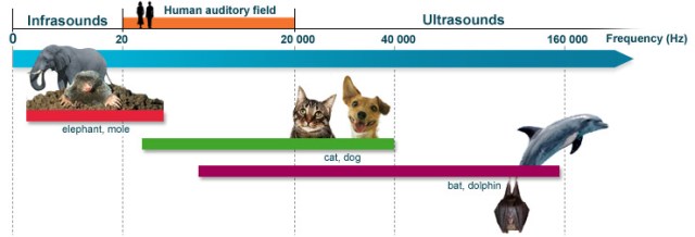 frequency-hearing-range-in-man-and-some-common-animal