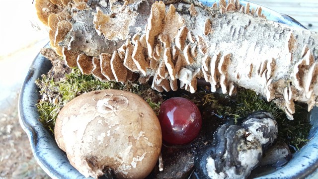 20160227_160235.jpg image