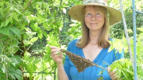 22552790_845851315589648_8100687653902954269_n